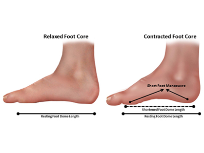 Why do we give you exercises for the small muscles in your feet ...